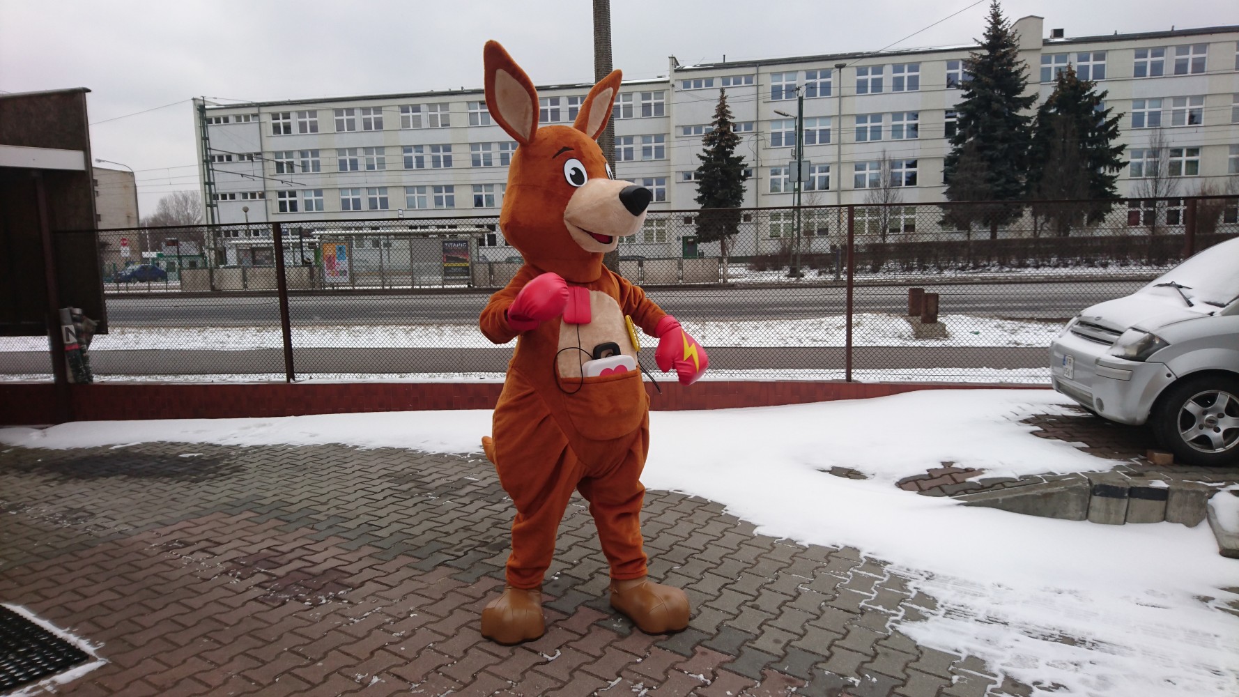 Co zrobić, aby zamówić jedyne w swoim rodzaju kostiumy reklamowe Elabika? Kangur Ratownik